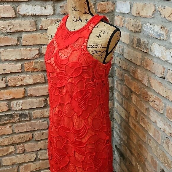 Lovers & Friends Caspian Red Lace sheath dress size Small - Picture 5 of 13